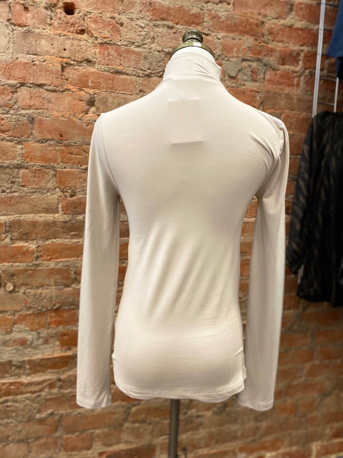 Sleek Intentions Mock Neck Top