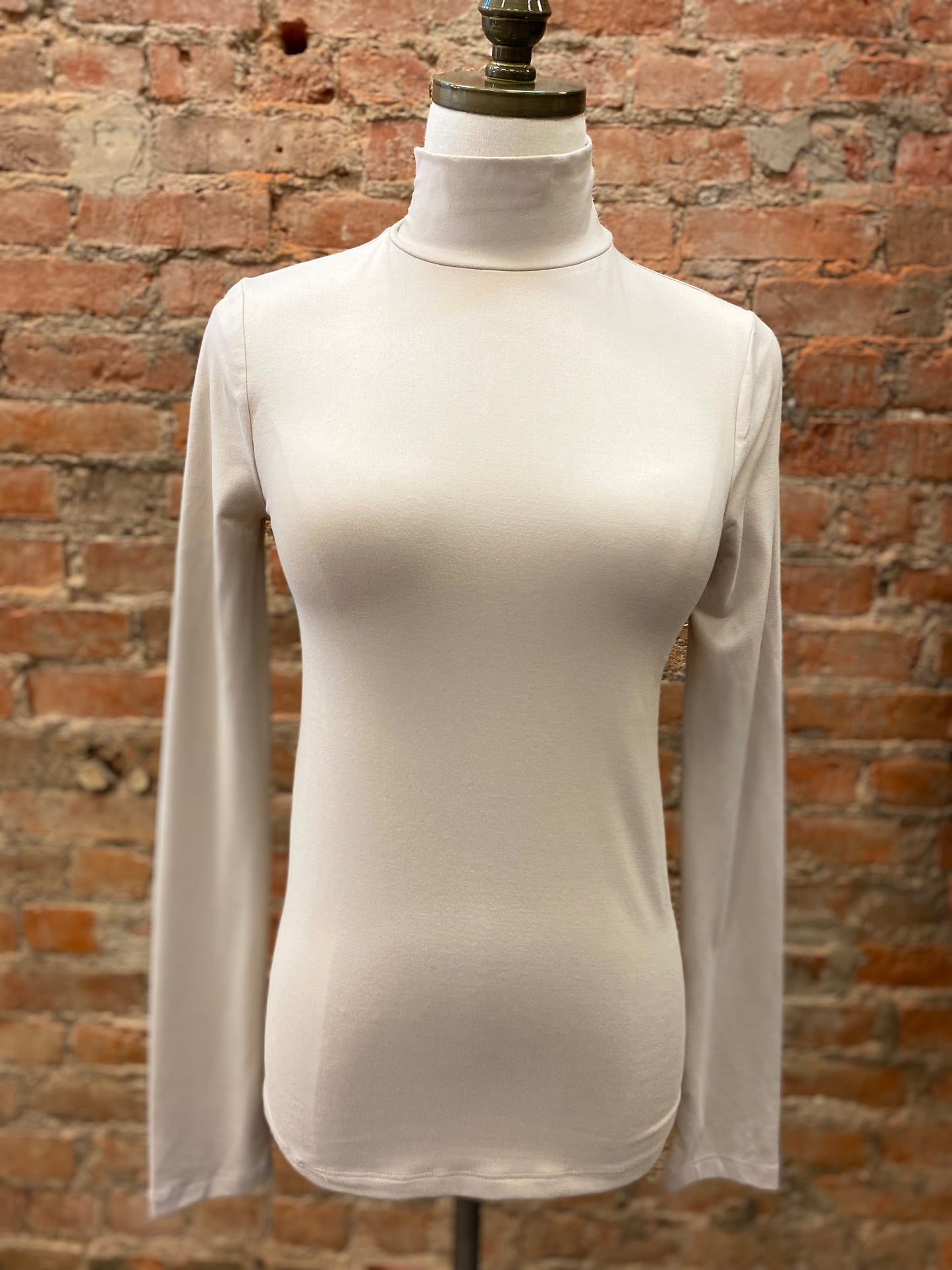 Sleek Intentions Mock Neck Top